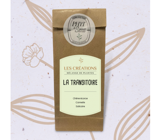 LA TRANSITOIRE par Caroline Gayet