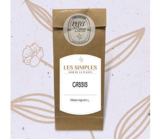 cassis  plante en vrac caroline gayet phyt et sens
