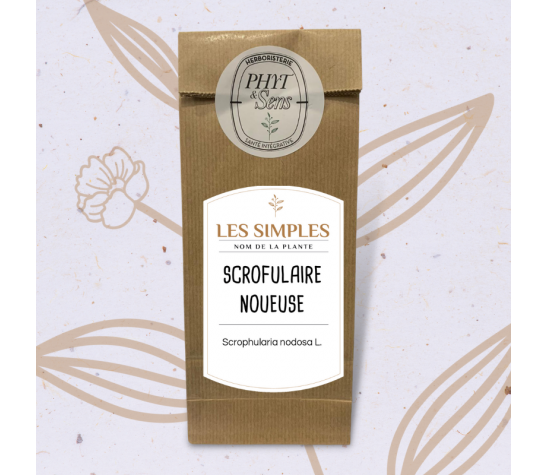 scrofulaire noueuse plante en vrac Caroline Gayet Herboristerie Phyt et Sens