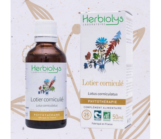 lotier_cornicule_phytotherapie_herbiolys_herboristerie_phytetsens_caroline_gayet
