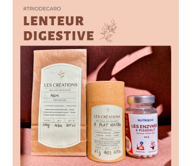 Trio Lenteur digestive