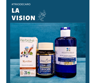 Trio de la vision