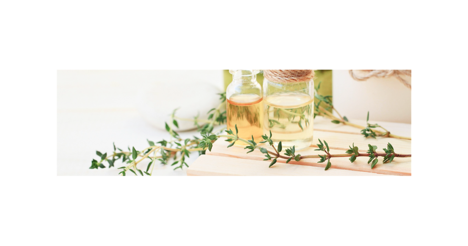Prébiotiques et Probiotiques
