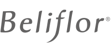 Beliflor