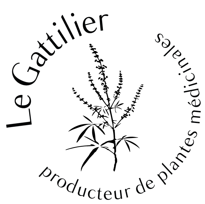 Le Gattilier