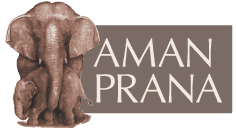 Aman prana