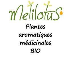 Mélilotus